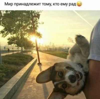 Мир принадлежщ чому но ему рад