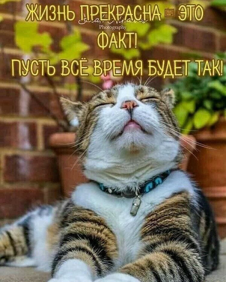 ЖИЗНЬ ДЕЕКРАСНА ЭТО