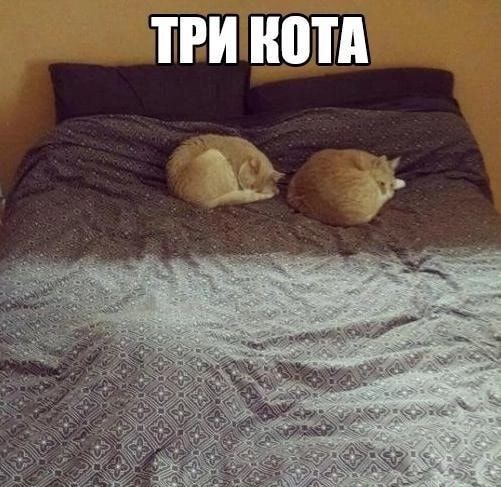 ПИ иш