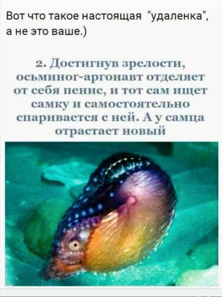 Вот что такое настоящая удапенка а не это ваше ниш цпппцпъ п ьпппщчцппшппп приник с Г понт_ п гнп пни1 шпиц н шпикидцп пп гппршппп л псп _с1пи приник НП П