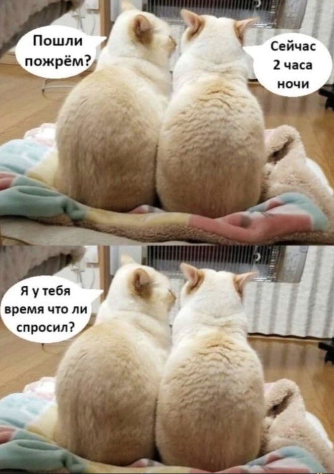 время что ли спросил