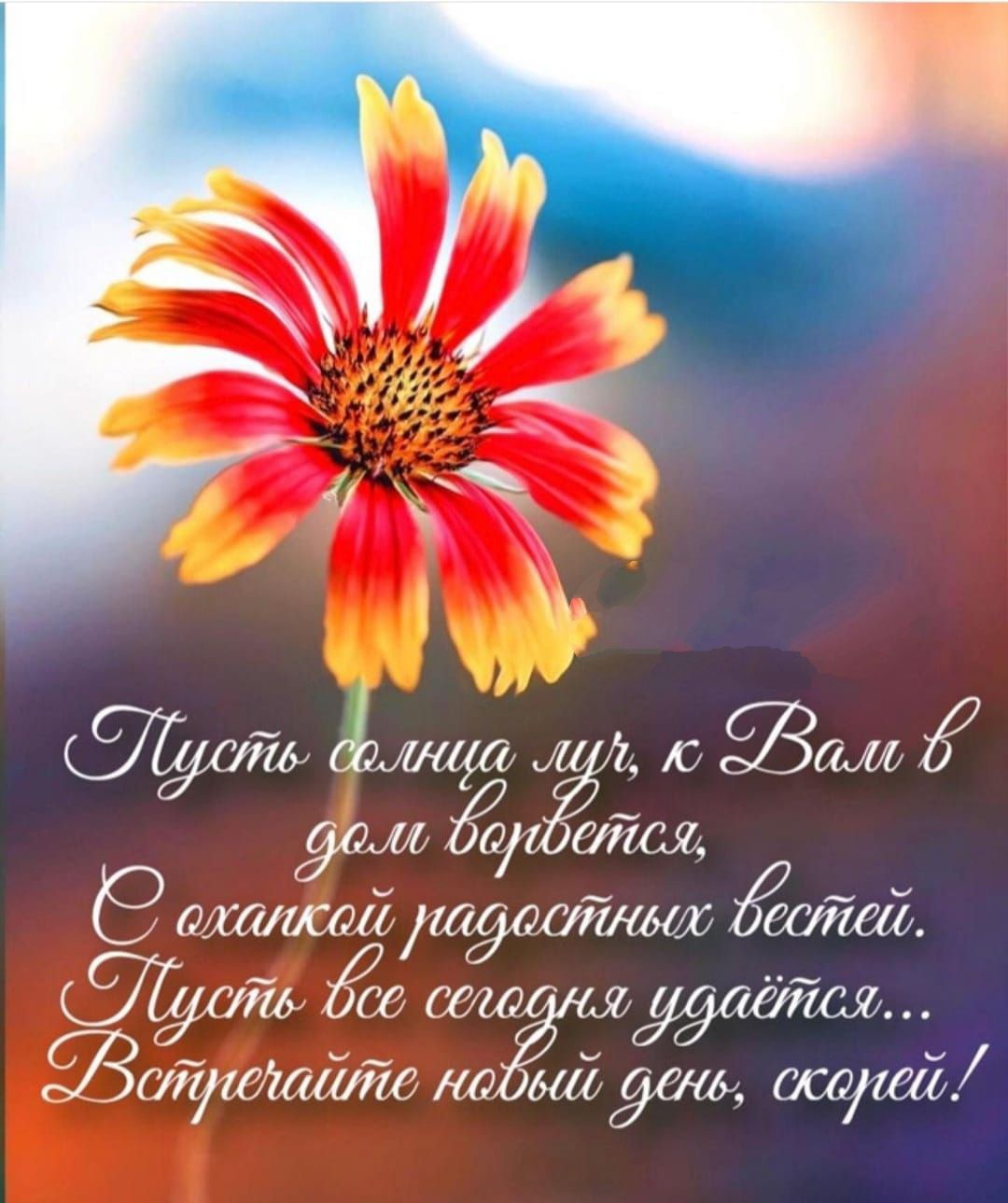 йа ища г с Зам 9111 Ёйсщ таит7 ш90т7дми 7774 0 тт ЗайМайли 1 2 9016