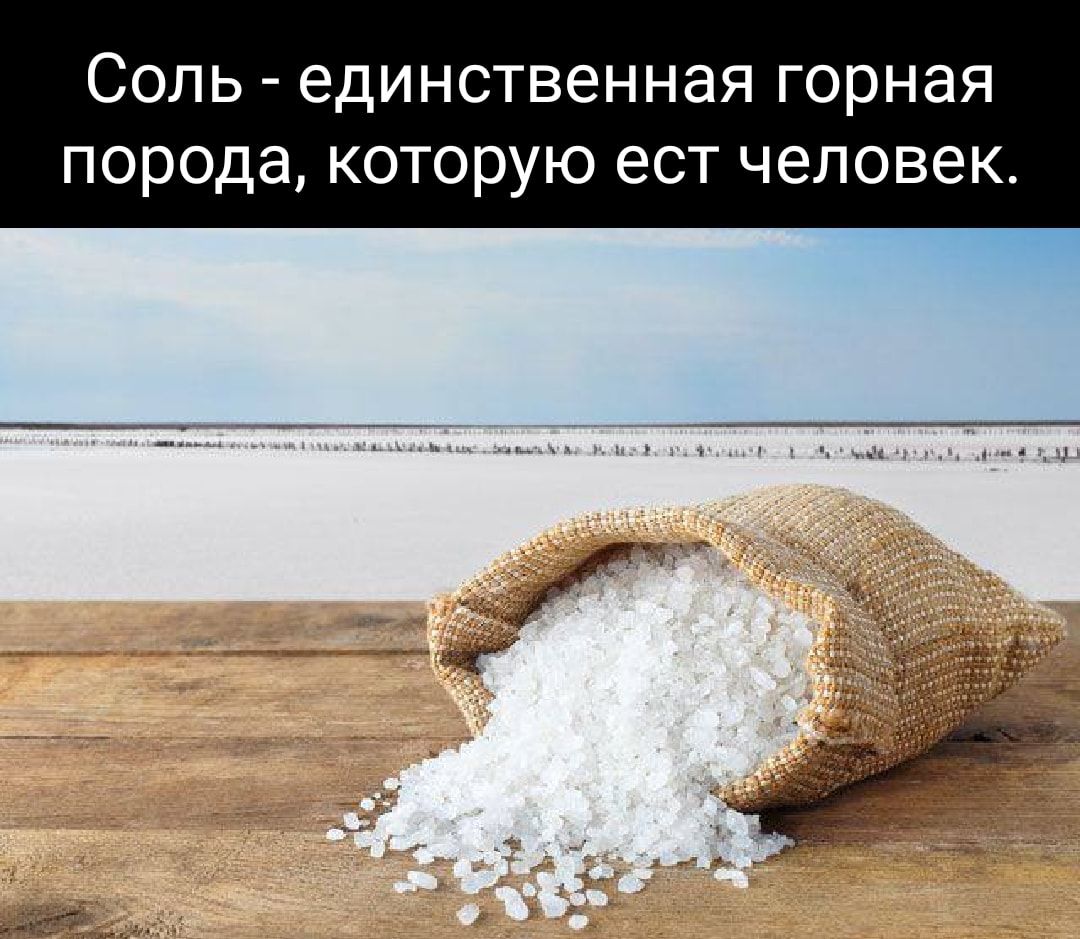 Соль единственная горная порода которую ест человек