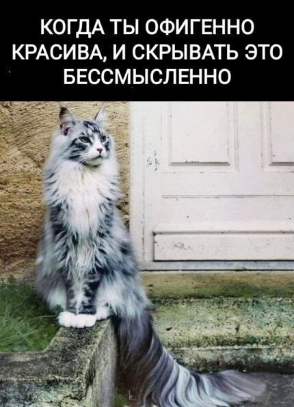 КОГДА ТЫ ОФИГЕННО КРАСИВА И СКРЫВАТЬ ЭТО БЕССМЫСЛЕННО