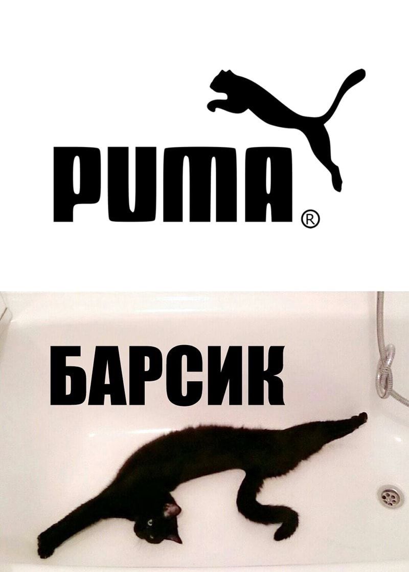 ППШ в