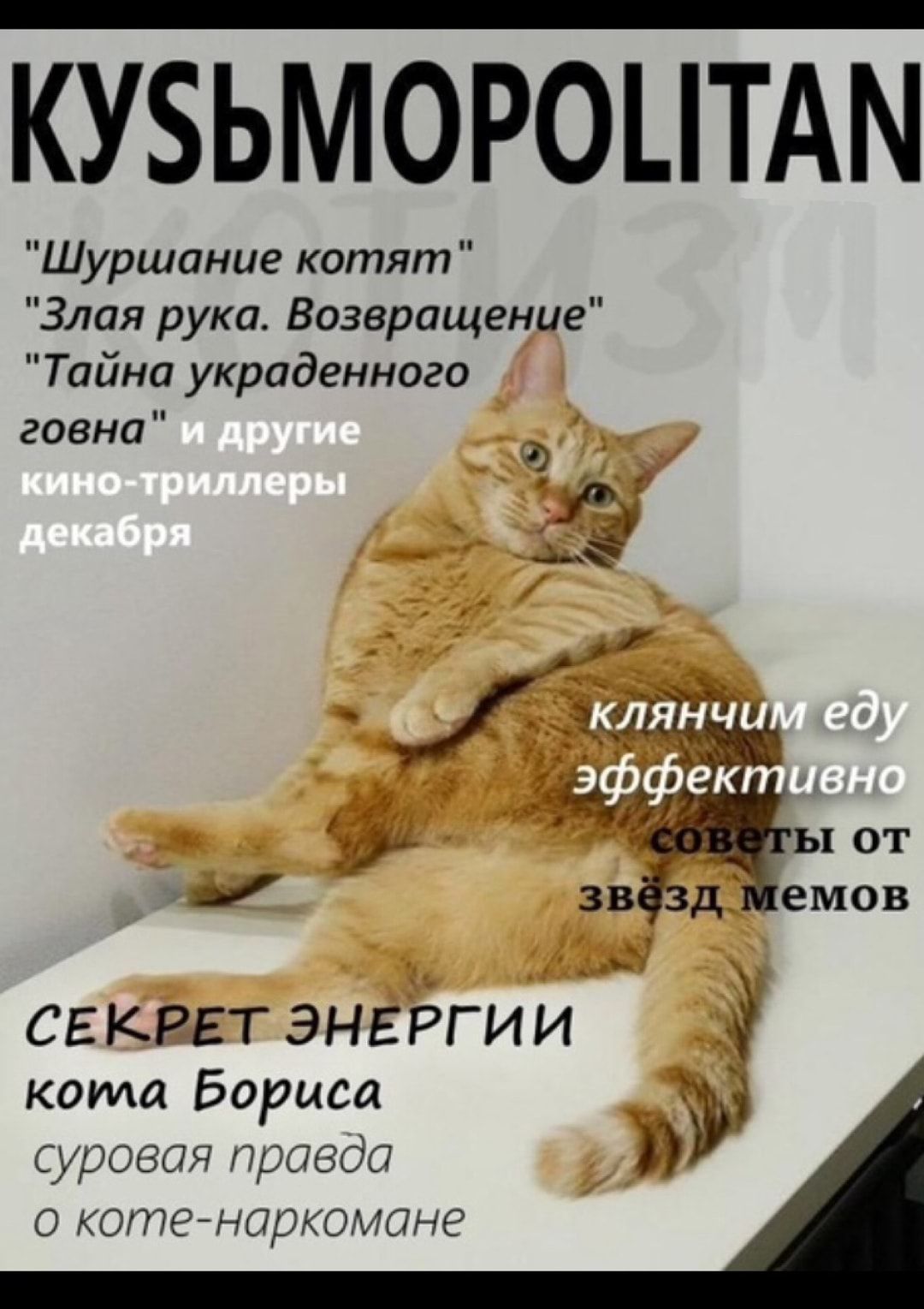 КУБЬМОРОЦТАМ Шуршание котят Злая рука Возвращецие Тайна украденного гавна 1 АМ ськіггт энёргии кота Бориса суровая правда 0 КОПТЕНКДЖОМОНЕ