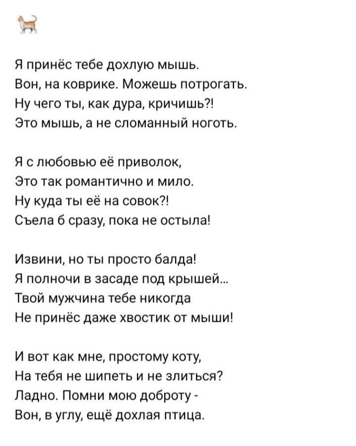 Ж я принес тебе дохлую мышь Вон на коврике Можешь потрогать Ну чего ты как дура кричишь Зто мышь в не сломанный ноготь Я с любовью ее приволпк Это ик романтично и мило Ну куда ты её на совок Сьепа сразу пока не остыпа Извини но ты просто банда Я полночи в засаде под крышей Твой мужчина тебе никогда Не принёс даже хвостик от мыши И вот как мне простому кшу На тебя не шипеть и не злиться Ладно Помни
