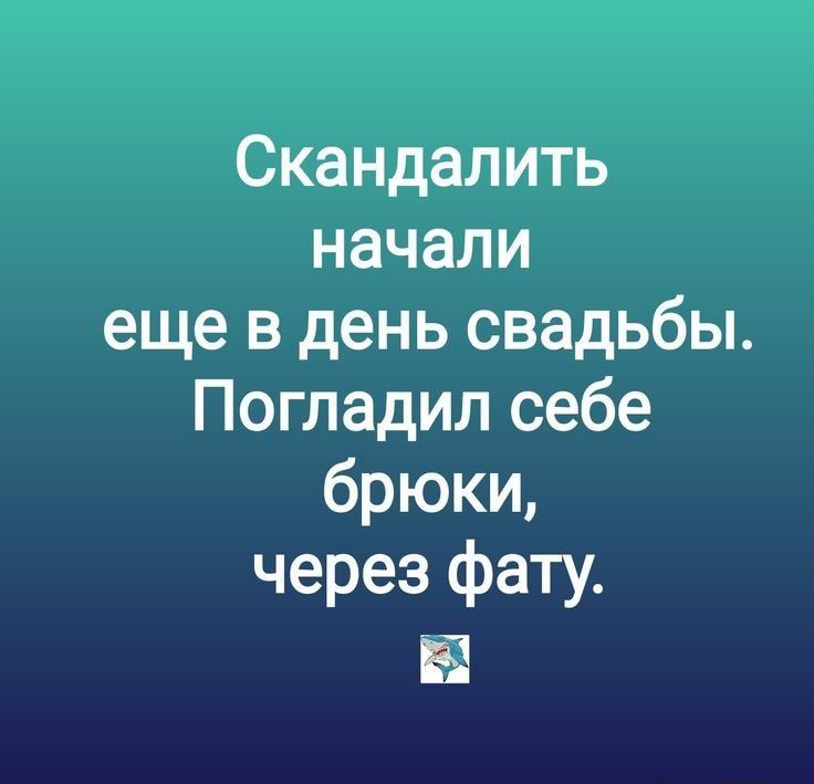 Скандалить начали еще в день свадьбы Погладил себе брюки через фату Е