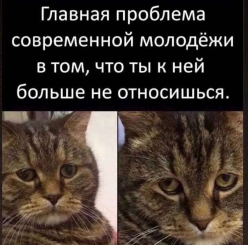Главная проблема современной молодёжи в том что ты к ней больше не относишься