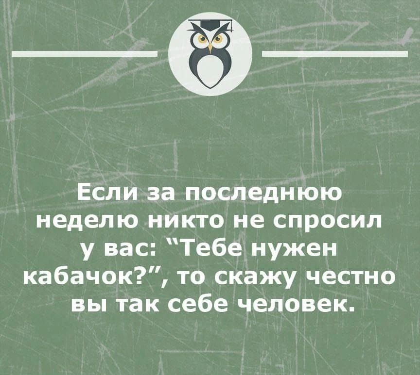 Если за последнюю неделю никто не спросил у вас Тебе нужен кабачок то скажу честно вы так себе человек штвцг стицмон _