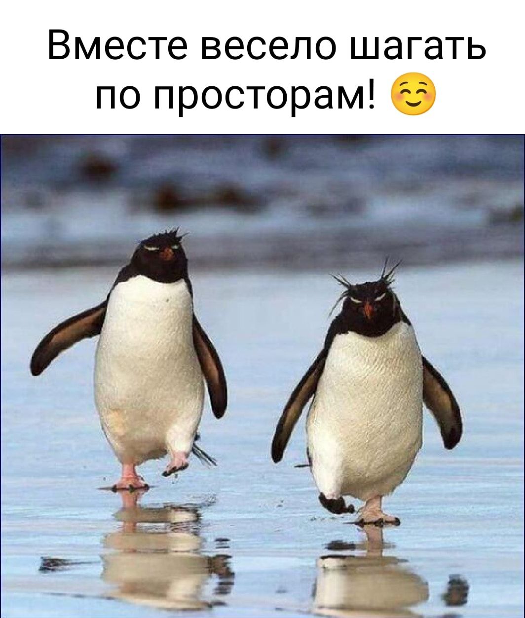 Вместе весело шагать по просторам