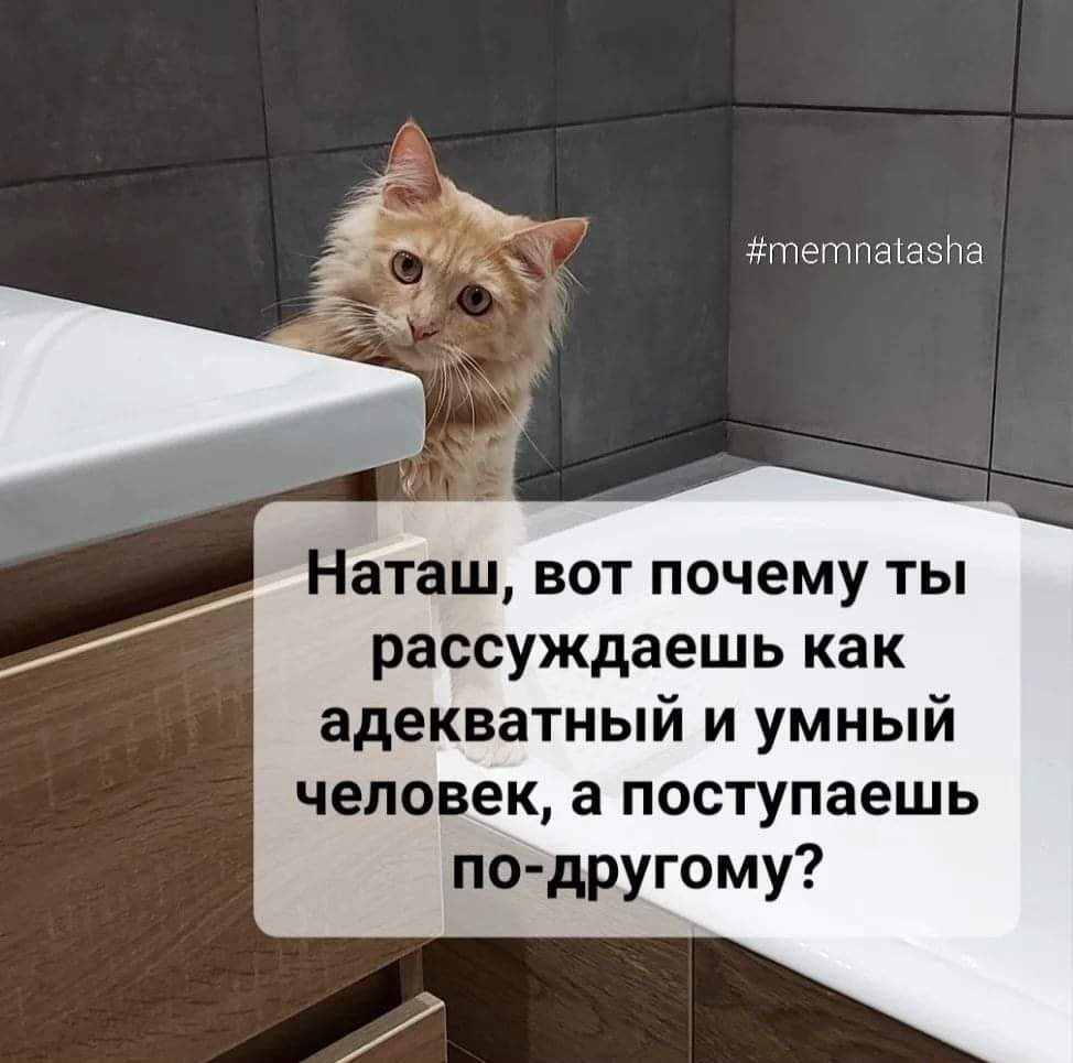 тетпаіазйа Наташ вот почему ты рассуждаешь как адекватный и умный человек а поступаешь по другому