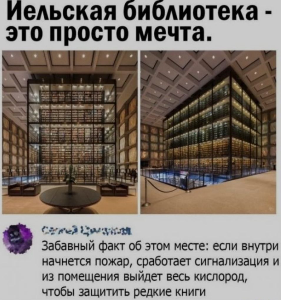 лза ц и Забавный факт об этом месте если внутри начнется пожар сработает сигнализация и из помещения выйдет весь кислород чтобы защитить редкие книги