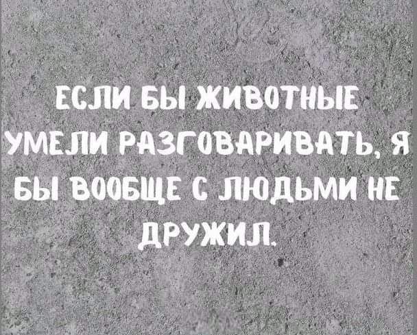 ссли вы животньп умели ризговдгивдть я вы воовщв с людьми не дружил