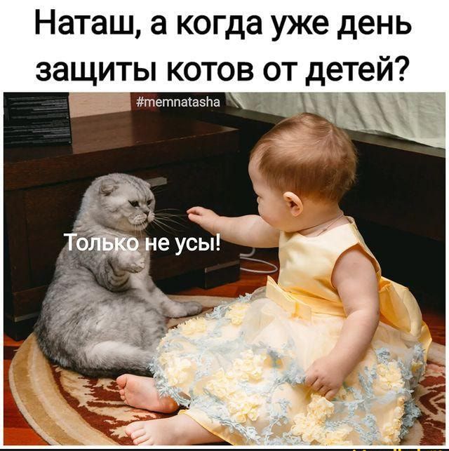 Наташ а когда уже день защиты котов от детей эшетпшзпа
