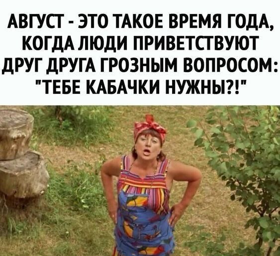 АВГУСТ ЭТО ТАКОЕ ВРЕМЯ ГОДА КОГДА ЛЮДИ ПРИВЕТСГВУЮТ дРУГ ДРУГА ГРОЗНЫМ ВОПРОСОМ ТЕБЕ КАБАЧКИ НУЖНЫ