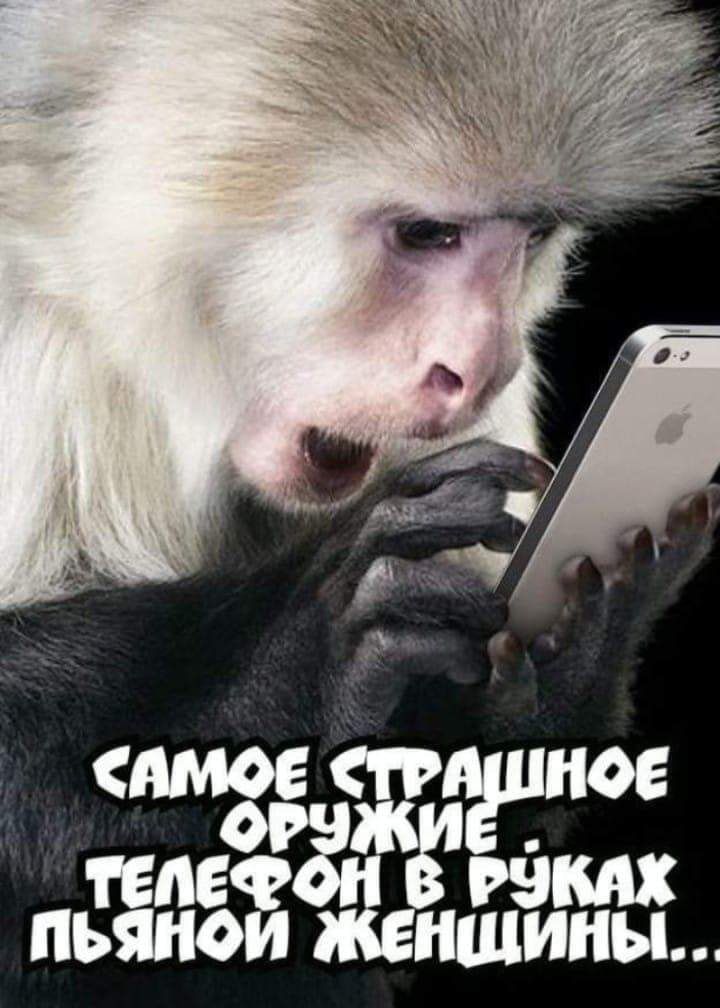 ТЕЛЕФ РЭКлХ ПЬЯНОЙ ЖЕНЩИНЫ