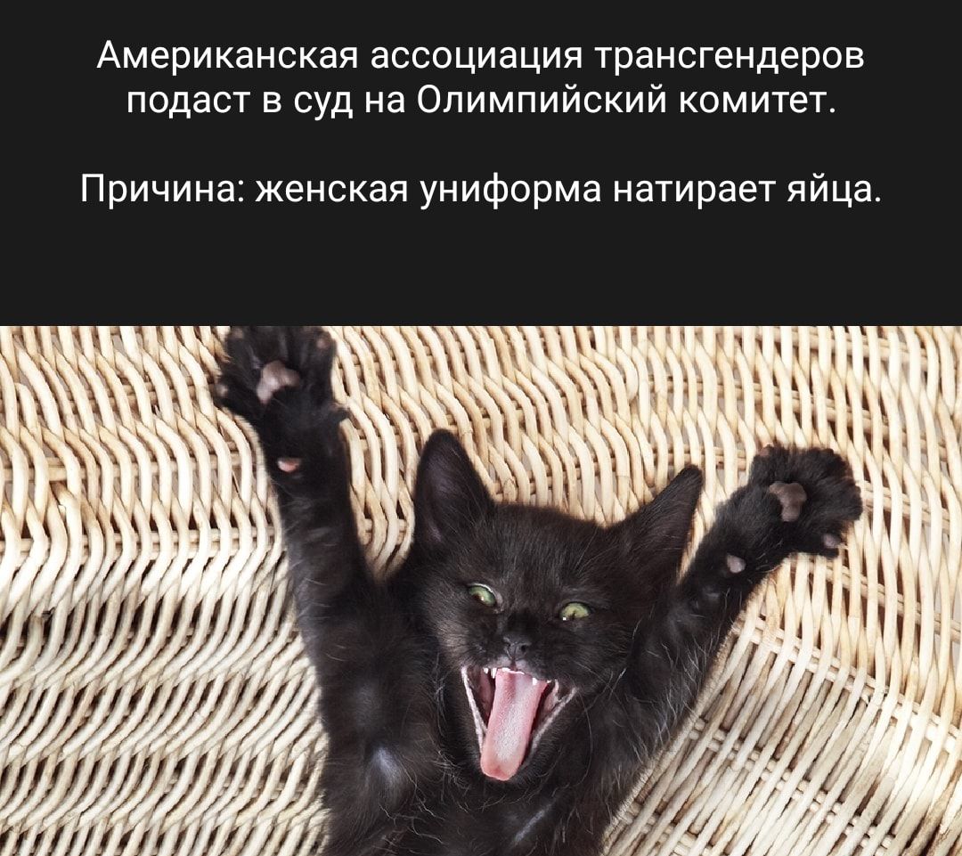Американская ассоциация трансгендеров подаст в суд на Олимпийский комитеп Причина женская униформа натирает яйца шДЖшшз
