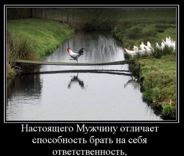Настоящего Мужчину отличает способность брать на себя ответственность