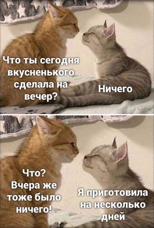 ВКУСНЕНЬ сделала вечер НИЧЕГО ГМНОПЬКО иеи