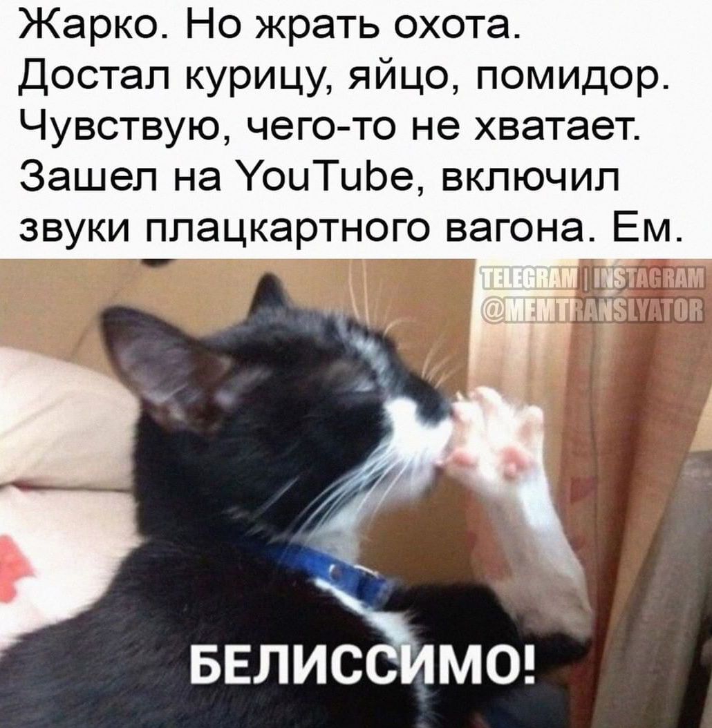 Жарко Но жрать охота Достал курицу яйцо помидор Чувствую чегото не хватает Зашел на УонТцЬе вкпючип Ем БЕЛИС МО
