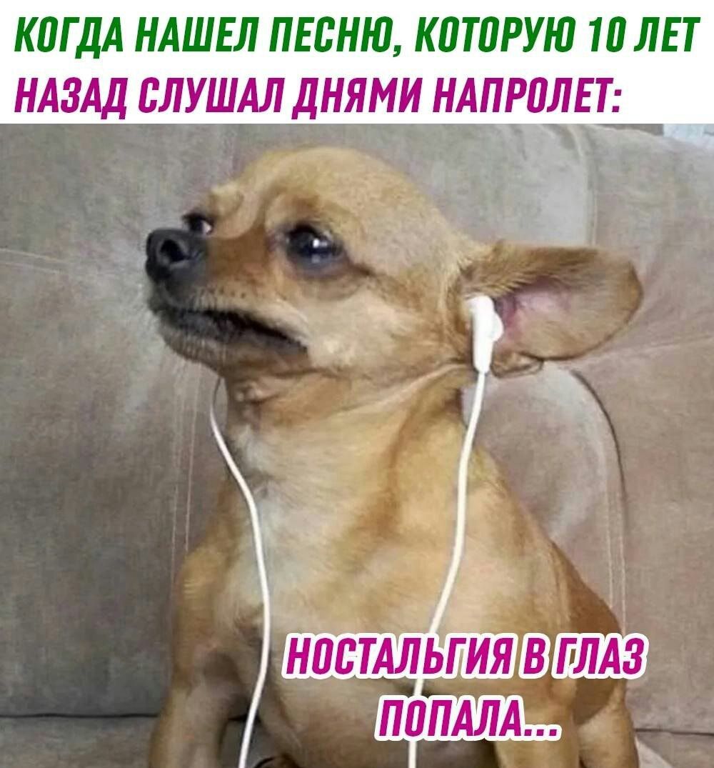 КПГДА НАШЕЛ ПЕСНЮ КПТПРУЮ 10 ЛЕТ НАЗАД ЬЛУШАЛ дНЯМИ НАПРПЛЕТ