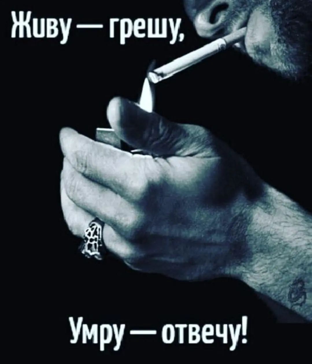 Живу Умруотвечу