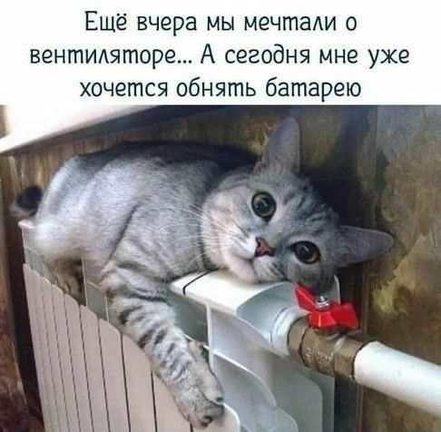 Еще вчера мы мечта о вентИАяторе А сегодня мне уже хочется обнять батарею