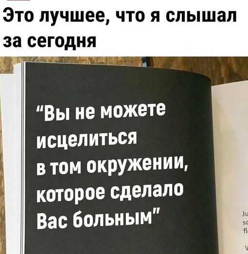 Это лучшее что я слышал за сегодня Вы не можете исцелиться в том окружеНИИ которое сделало Вас больным