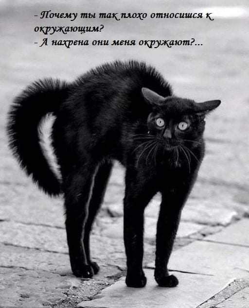 _ п шк аткошшсл піфщщш и ищем меня оют