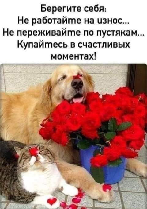 Берегите себя Не работайте на износ Не переживайте по пустякам Купайтесь в счастливых моментах