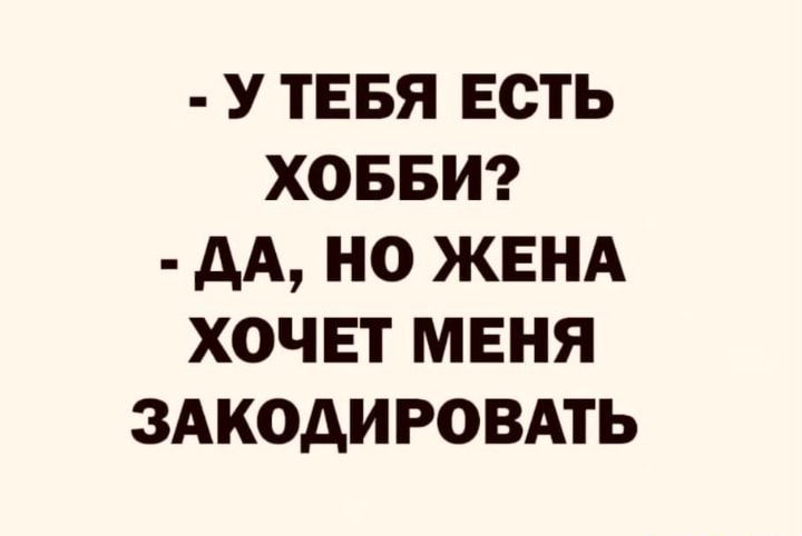 У ТЕБЯ ЕСТЬ ХОББИ АА НО ЖЕНА ХОЧЕТ МЕНЯ ЗАКОДИРОВАТЬ