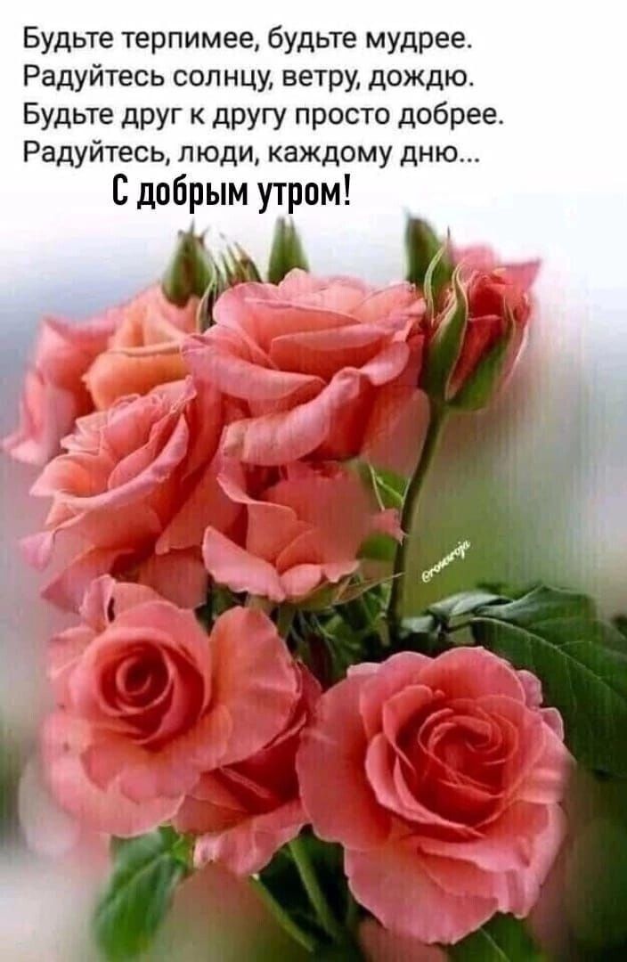 Будьте терпимее будьте мудрее Радуйтесь солнцу ветру дождю Будьте друг к другу просто добрее Радуйтесь люди каждому дню С добрым утром