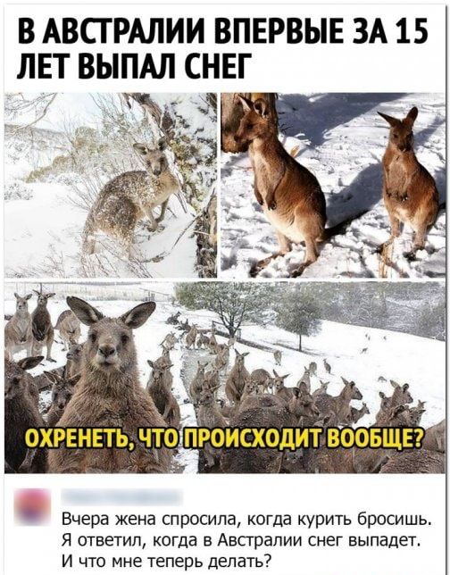В АВСТРАЛИИ ВПЕРВЫЕ ЗА 15 ЛЕТ ВЫПАЛ СНЕГ _ ОХРЕНЕТЬ ЧТОПРОИСХОДИТ ВООБЩЕ Вчера жена спросила когда курить бросишь Я ответил когда в Австралии снег выпадет И что мне теперь делать