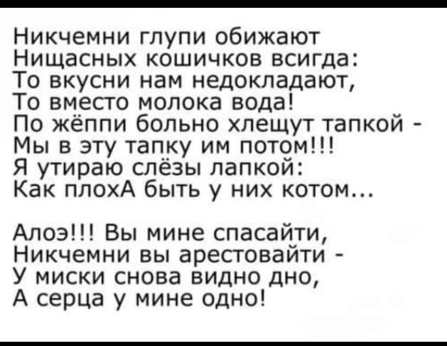 Никчемни глупи обижают Нищасных кошичков всигда То вкусни нам недокладают То вместо молока вода По жёппи больно хпещут тапкой Мы в эту тапку им потом Я утираю слёзы папкой Как плохА быть у них котом Алоэ Вы мине сласайти Никчемни вы арестовайти У миски снова видно дно А серца у мине одно
