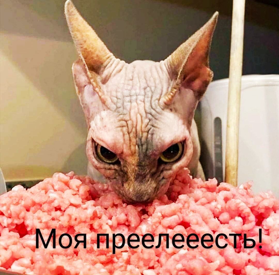 Моя преелееесть