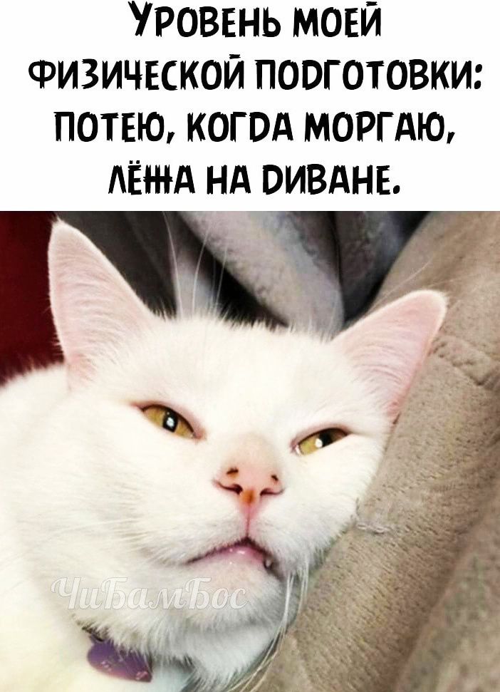 РОВЕНЬ МОЕЙ ФИЗИЧЕСКОЙ ПООГОТОВКИ ПОТЕЮ КОГОА МОРГАЮ АЁі НА НА ОИВАНЕ