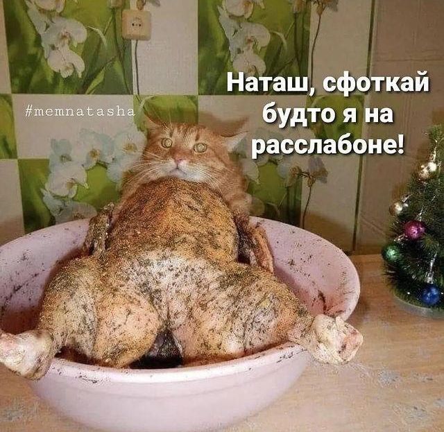 даташ ефоткай чЁбудтсо я на расбпабоие