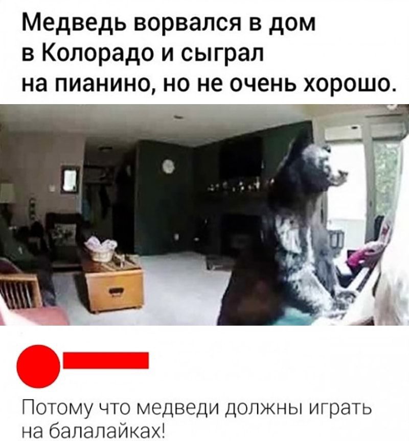 Медведь ворвался в дом в Колорадо и сыграл на пианино но не очень хорошо ПОТОМУ ЧТО медведи ДОЛЖНЫ играть на бапапайках