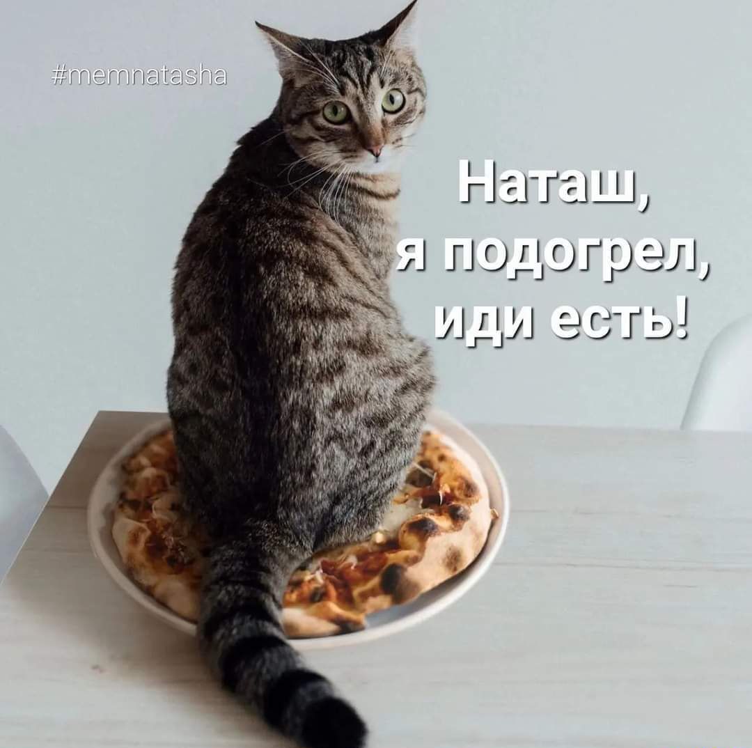Нзпыш п од огр эл иди есть