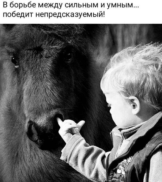В борьбе между сильным и умны победит непредсказуемый