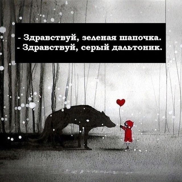 Здравствуй ведения шшочка _ здравствуй серый дштовик