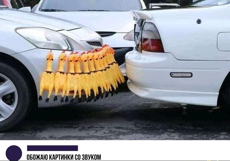 шхиикишашпи