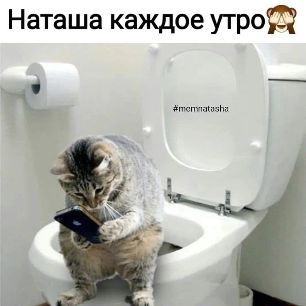 Наташа каждое утрощ хтетпмввм