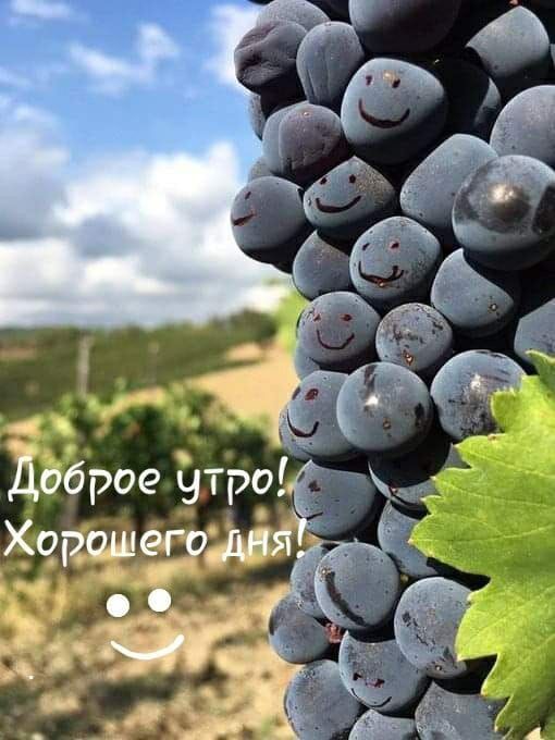 Дбброе утроФу