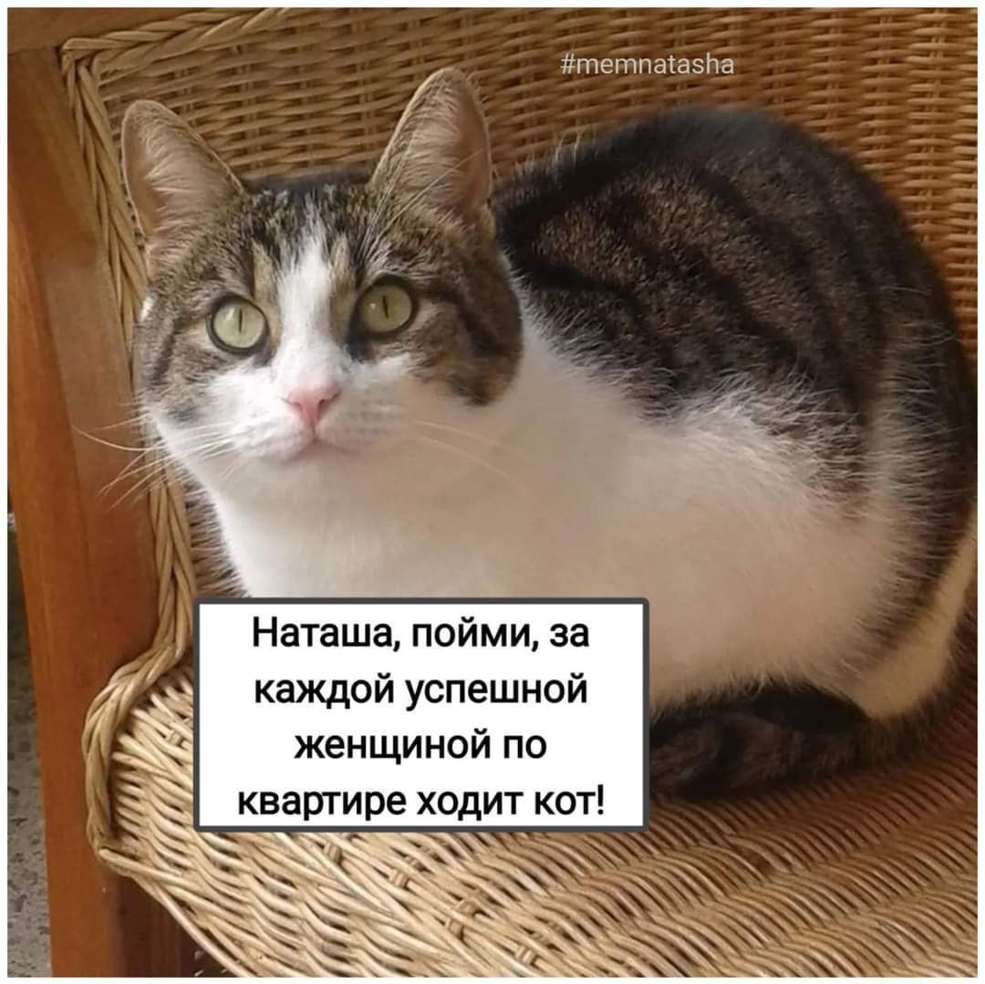 тптня Наташа пойми за каждой успешной женщиной по