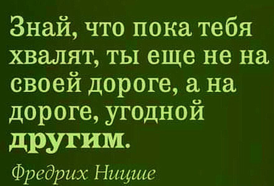 Знай что пока тебя хвалят ты еще не на своей дороге а на дороге угодной другим Фридрих Ницше