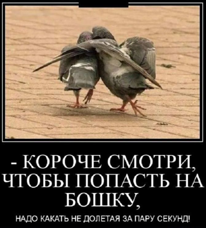 КОРОЧЕ СМОТРИ ЧТОБЫ ПОПАСТЬ НА БОШКУ НАДО КАКАТЬ НЕ ПОЛЕТАЯ ЗА ПАРУ СЕКУНД