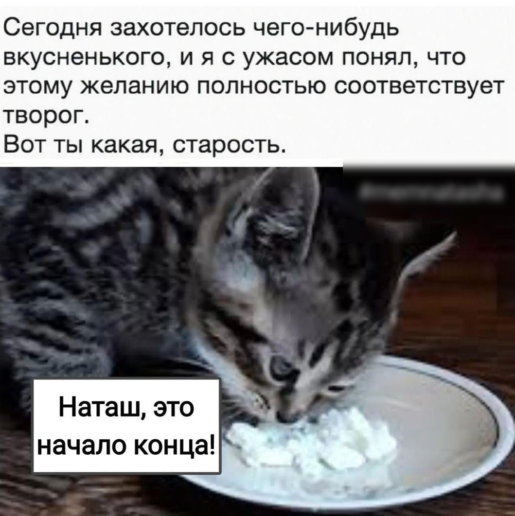 Сегодня захотелось чего нибудь вкусненького и я с ужасом понял что этому желанию полностью соответствует творог ВОТ ТЫ какая старость тетпаіаэйа Наташ это начало конца