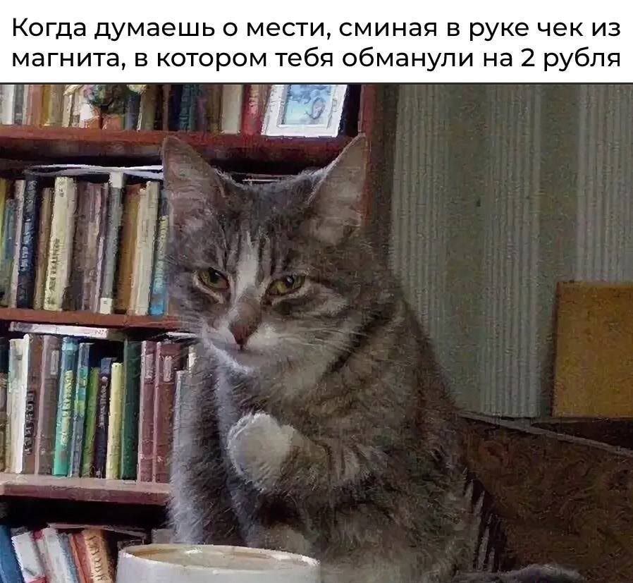 Когда думаешь мести сминая в руке чек из магнита в котором тебя обманули на 2 рубля